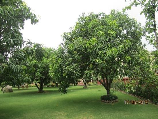 Jim Corbett Resort Rāmnagar Eksteriør billede