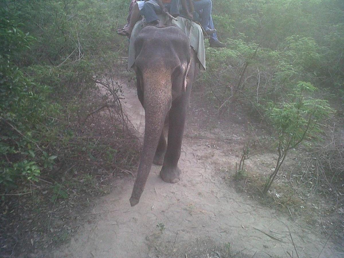 Jim Corbett Resort Rāmnagar Eksteriør billede